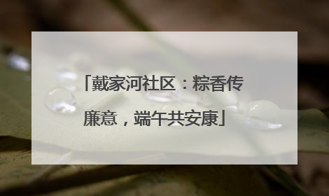 戴家河社区：粽香传廉意，端午共安康