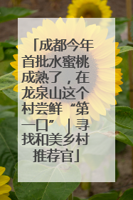 成都今年首批水蜜桃成熟了，在龙泉山这个村尝鲜“第一口”｜寻找和美乡村推荐官