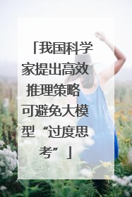 我国科学家提出高效推理策略 可避免大模型“过度思考”