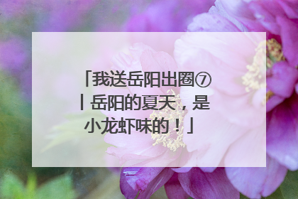 我送岳阳出圈⑦丨岳阳的夏天，是小龙虾味的！