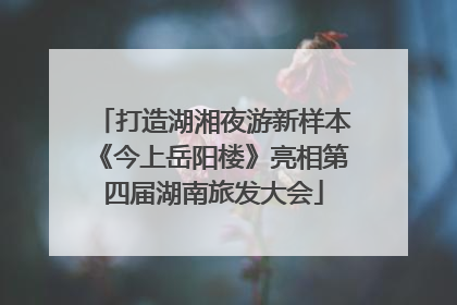 打造湖湘夜游新样本《今上岳阳楼》亮相第四届湖南旅发大会