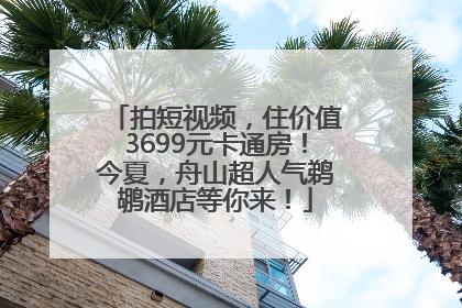 拍短视频，住价值3699元卡通房！今夏，舟山超人气鹈鹕酒店等你来！