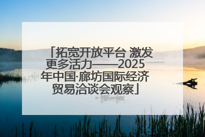 拓宽开放平台 激发更多活力——2025年中国·廊坊国际经济贸易洽谈会观察