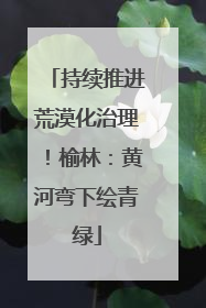 持续推进荒漠化治理！榆林：黄河弯下绘青绿
