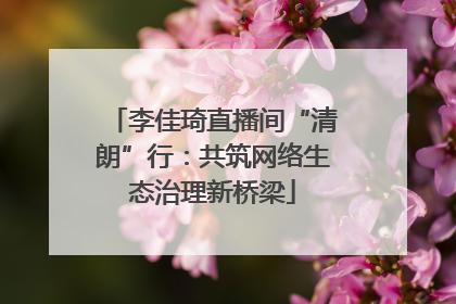 李佳琦直播间“清朗”行：共筑网络生态治理新桥梁
