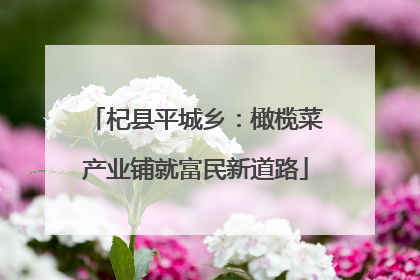杞县平城乡：橄榄菜产业铺就富民新道路