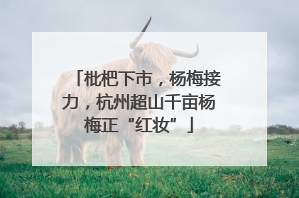 枇杷下市，杨梅接力，杭州超山千亩杨梅正“红妆”