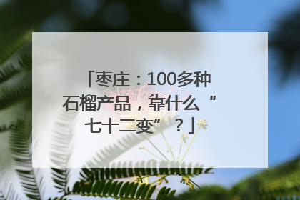 枣庄：100多种石榴产品，靠什么“七十二变”？
