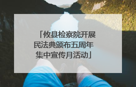 攸县检察院开展民法典颁布五周年集中宣传月活动