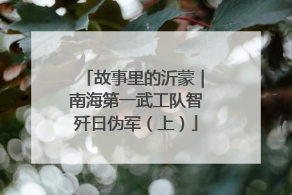 故事里的沂蒙｜南海第一武工队智歼日伪军（上）