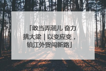敢当弄潮儿 奋力挑大梁｜以变应变，镇江外贸闯新路