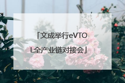文成举行eVTOL全产业链对接会