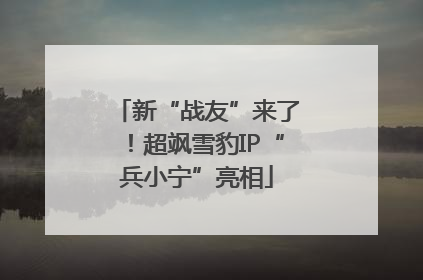 新“战友”来了！超飒雪豹IP“兵小宁”亮相