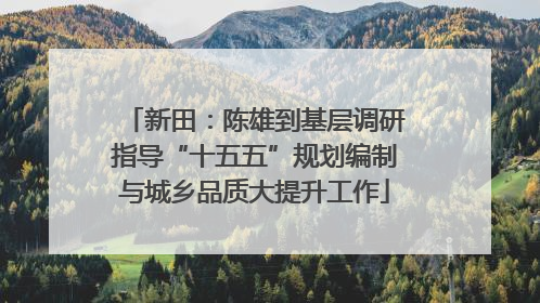 新田：陈雄到基层调研指导“十五五”规划编制与城乡品质大提升工作