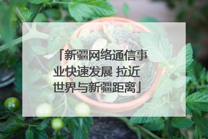 新疆网络通信事业快速发展 拉近世界与新疆距离