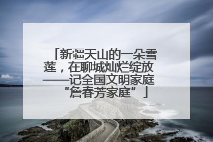 新疆天山的一朵雪莲，在聊城灿烂绽放——记全国文明家庭“詹春芳家庭”