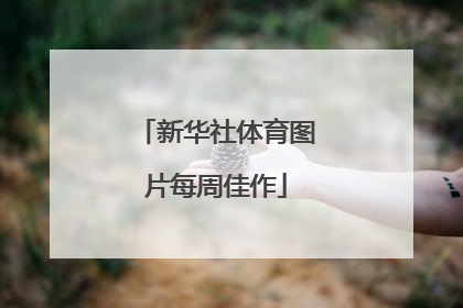 新华社体育图片每周佳作