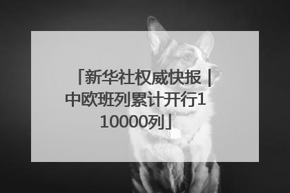 新华社权威快报｜中欧班列累计开行110000列