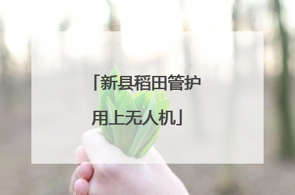 新县稻田管护用上无人机