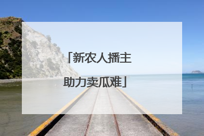 新农人播主 助力卖瓜难