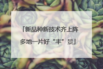 新品种新技术齐上阵 多地一片好“丰”景