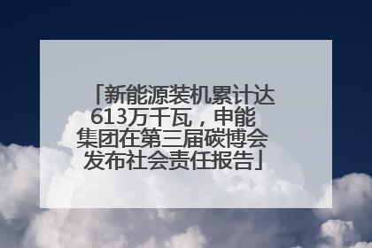 新能源装机累计达613万千瓦，申能集团在第三届碳博会发布社会责任报告