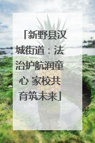 新野县汉城街道：法治护航润童心 家校共育筑未来