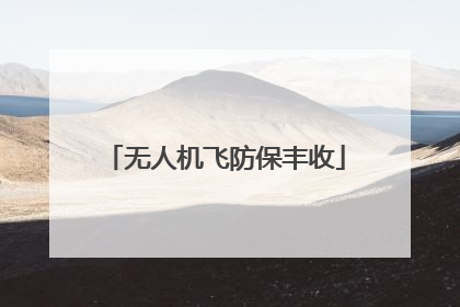 无人机飞防保丰收