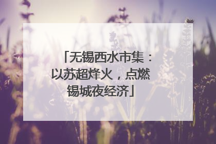 无锡西水市集：以苏超烽火，点燃锡城夜经济