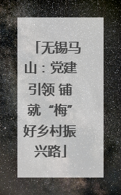 无锡马山：党建引领 铺就“梅”好乡村振兴路
