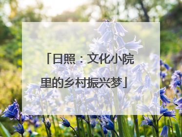 日照：文化小院里的乡村振兴梦