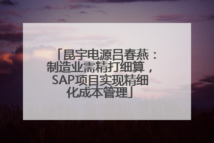 昆宇电源吕春燕：制造业需精打细算，SAP项目实现精细化成本管理