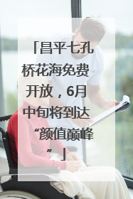 昌平七孔桥花海免费开放，6月中旬将到达“颜值巅峰”
