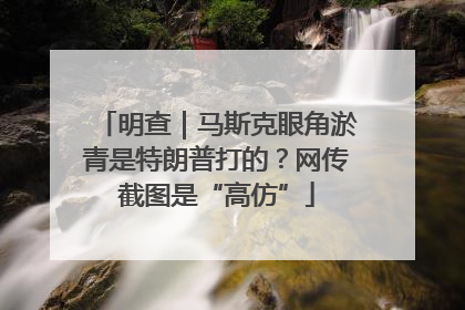 明查｜马斯克眼角淤青是特朗普打的？网传截图是“高仿”
