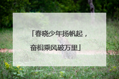 春晓少年扬帆起，奋楫乘风破万里