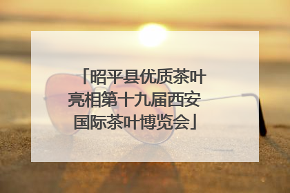 昭平县优质茶叶亮相第十九届西安国际茶叶博览会