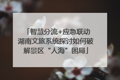 智慧分流+应急联动 湖南文旅系统探讨如何破解景区“人海”困局