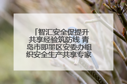 智汇安全促提升 共享经验筑防线 青岛市即墨区安委办组织安全生产共享专家现场观摩学习活动