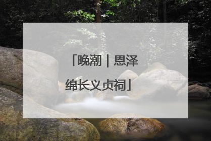 晚潮｜恩泽绵长义贞祠
