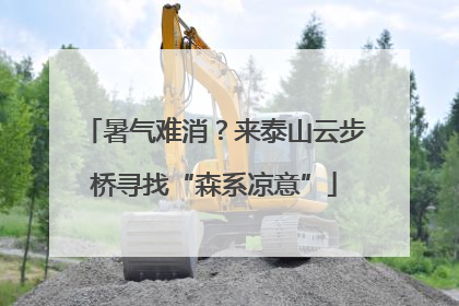 暑气难消？来泰山云步桥寻找“森系凉意”