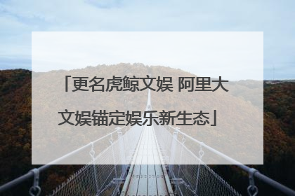 更名虎鲸文娱 阿里大文娱锚定娱乐新生态