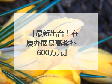 最新出台！在厦办展最高奖补600万元