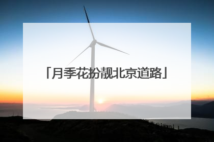 月季花扮靓北京道路