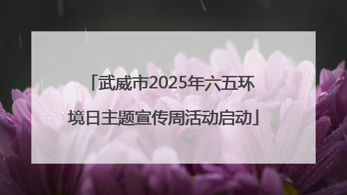 武威市2025年六五环境日主题宣传周活动启动