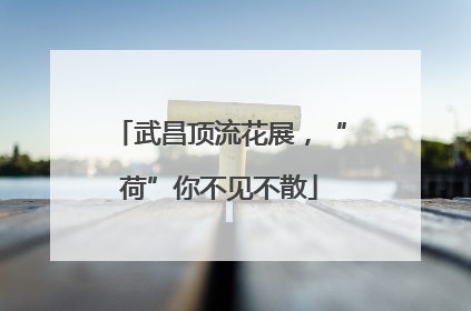 武昌顶流花展，“荷”你不见不散