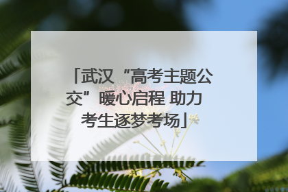 武汉“高考主题公交”暖心启程 助力考生逐梦考场