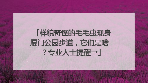 样貌奇怪的毛毛虫现身厦门公园步道，它们是啥？专业人士提醒→