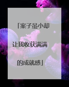 案子虽小却让我收获满满的成就感