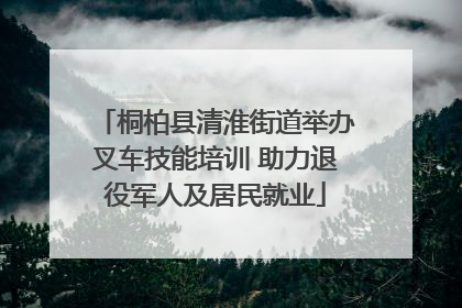 桐柏县清淮街道举办叉车技能培训 助力退役军人及居民就业