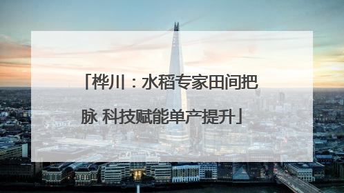 桦川：水稻专家田间把脉 科技赋能单产提升